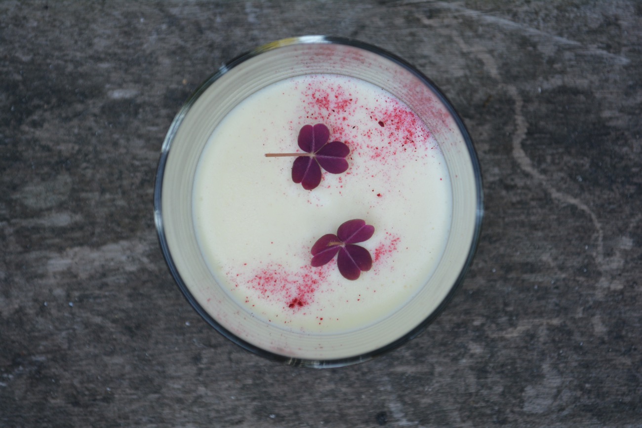 Hvid chokolademousse med hyldeblomst og rød skovsyre - fines.dk - Fines