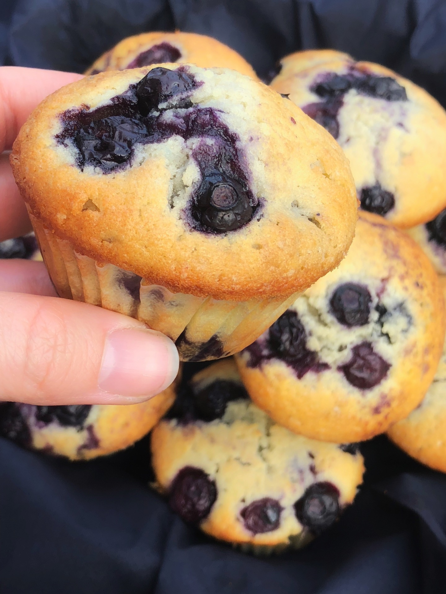 Blåbærmuffins